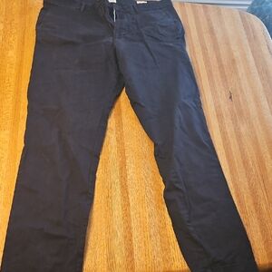 GAP Men's Blue Chinos